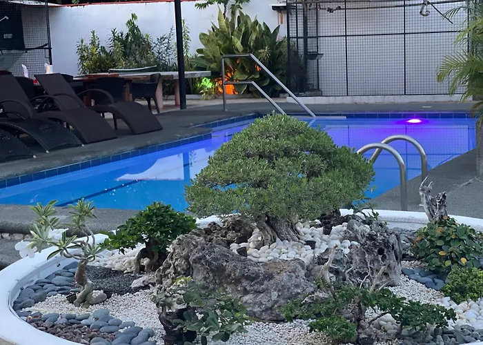 Resort Parrot