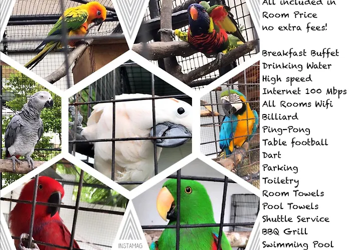 Parrot Resort 4*