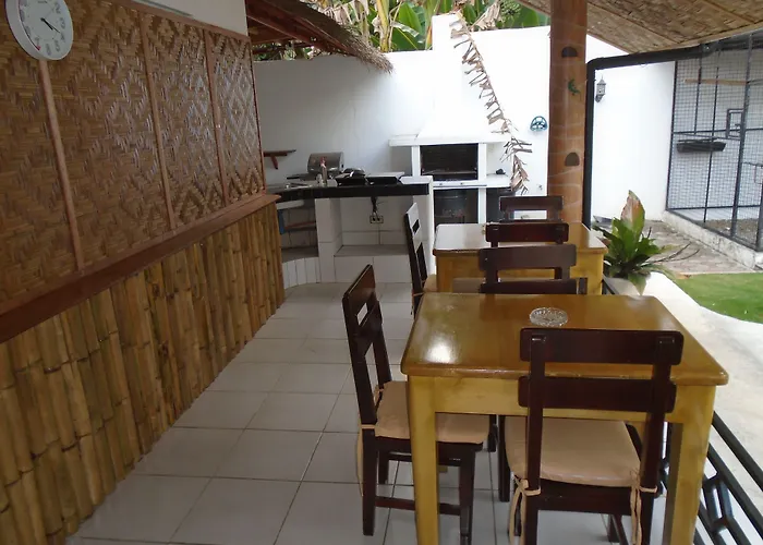 Parrot 4*