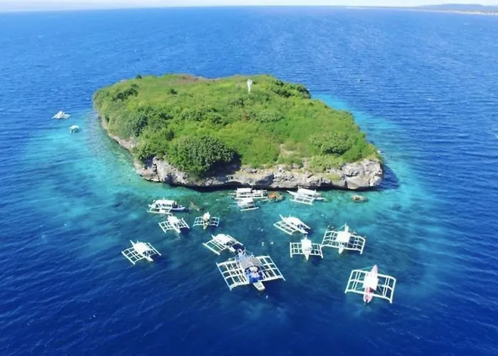 Parrot 4* Moalboal