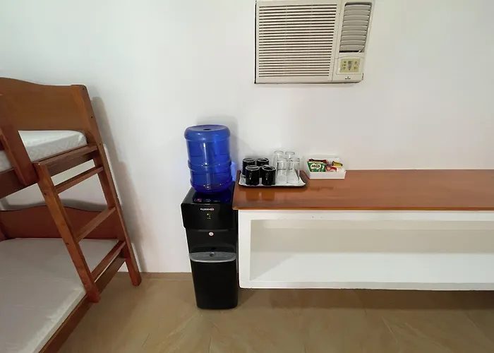 Parrot 4*