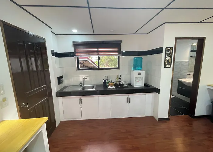Parrot 4*