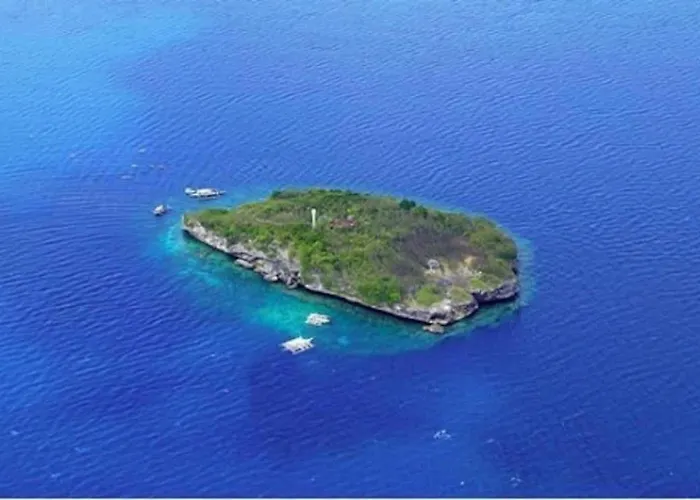Parrot Resort